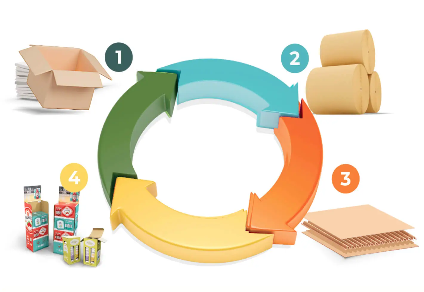 sustainability cycle